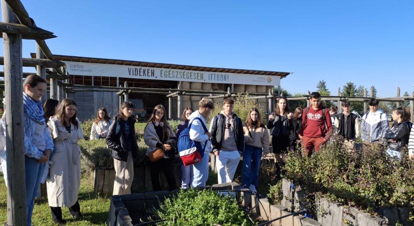 Közel vinni a gyereket a természethez, a természeteshez