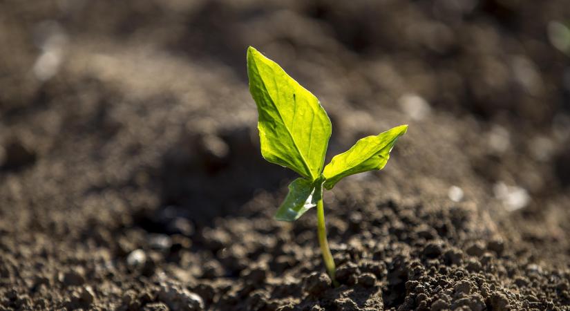 Tovább erősödik az agrárkárenyhítési rendszer