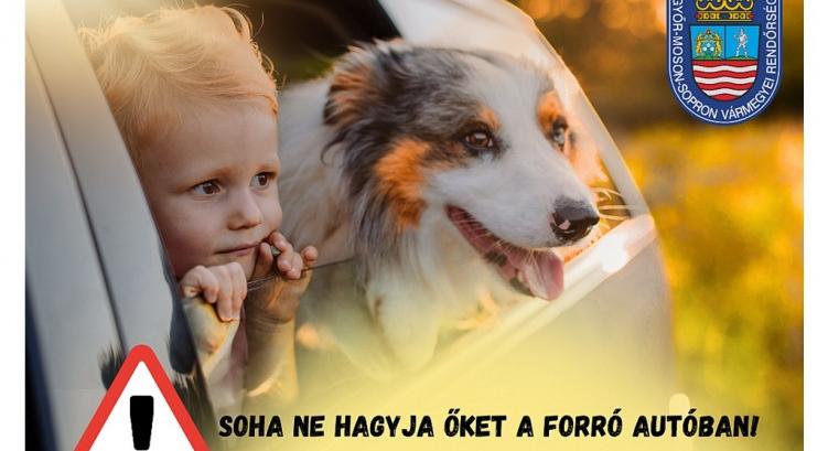 Hőségben egy percre se!