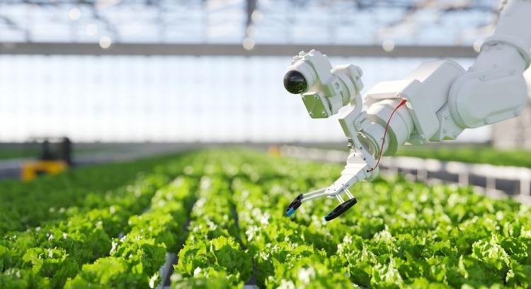 Robotok a földeken: a jövő munkatársai