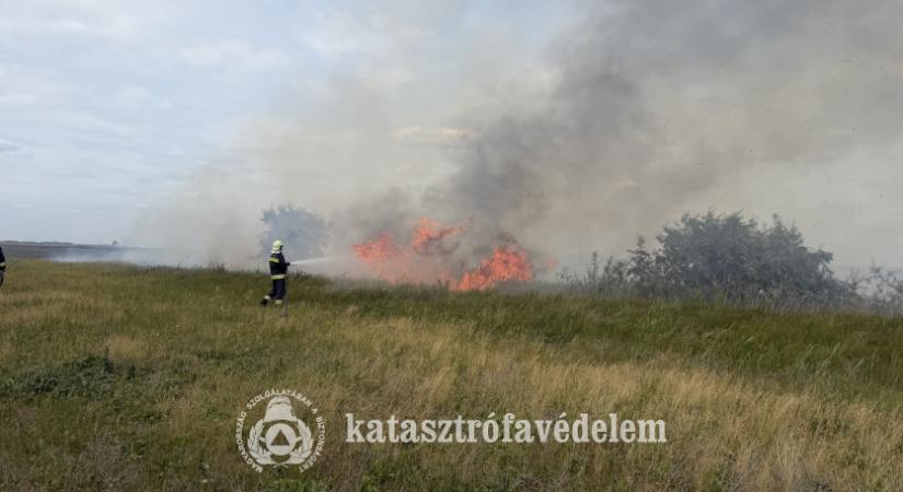 Tarló égett Tépe külterületén