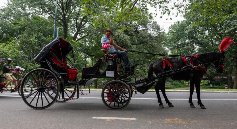 Betiltanák a Central Parkban a lovaskocsikázást egy turista halála miatt