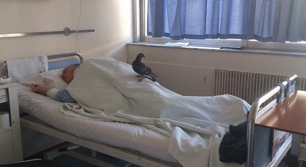 Sokkoló lehet, de jó tudni - nyilvánosságra kerülnek a kórházi fertőzések adatai