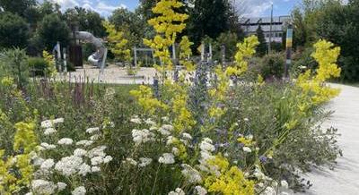 Az elmúlt évek egyik legjobb fejlesztése a Pünkösdfürdő park
