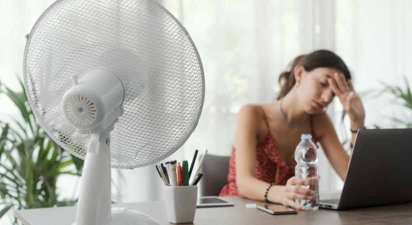 Csak beképzeljük vagy tényleg lassabban forog az agyunk a kánikulában?