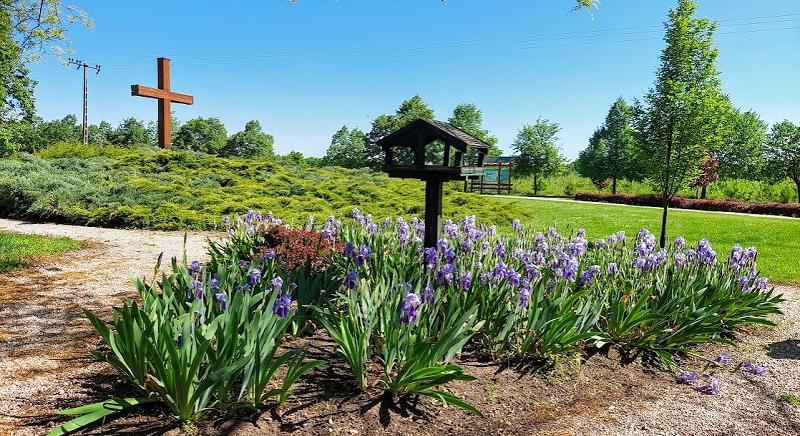 A kilencedik legmelegebb és a harmadik legszárazabb volt az idei tavasz