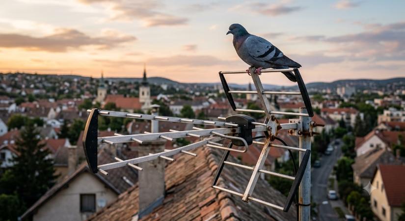 Tízmilliárdokat költöttek rá, most sorsára hagyják a földfelszíni tévét