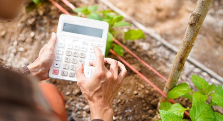 Visszatérhet a kata: az agráriumban is nagyot szólhat