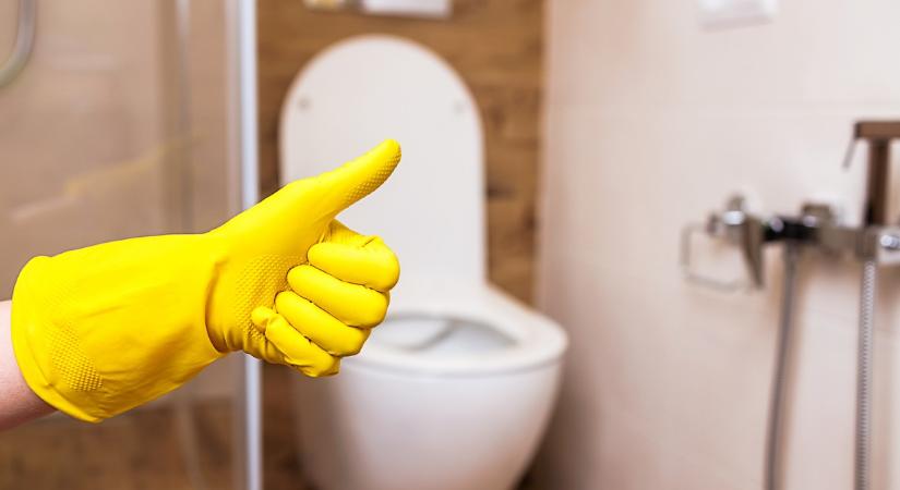 Varázsolj ötcsillagos tisztaságot a legkisebb helyiségbe is: Így készíthetsz házi szagtalanító keveréket lefekvés előtt a vécédbe