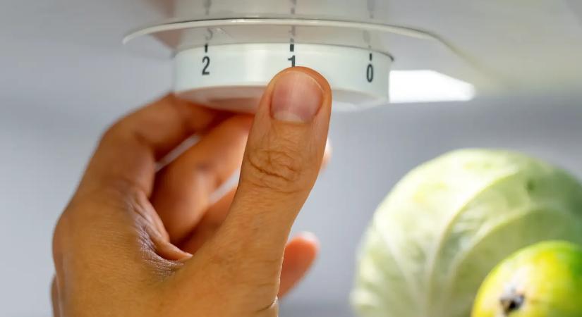 A magyarok 91 %-a rosszul állítja be ezt a gombot a hűtőn: többet fogyaszthat és rosszabbul is hűthet miatta