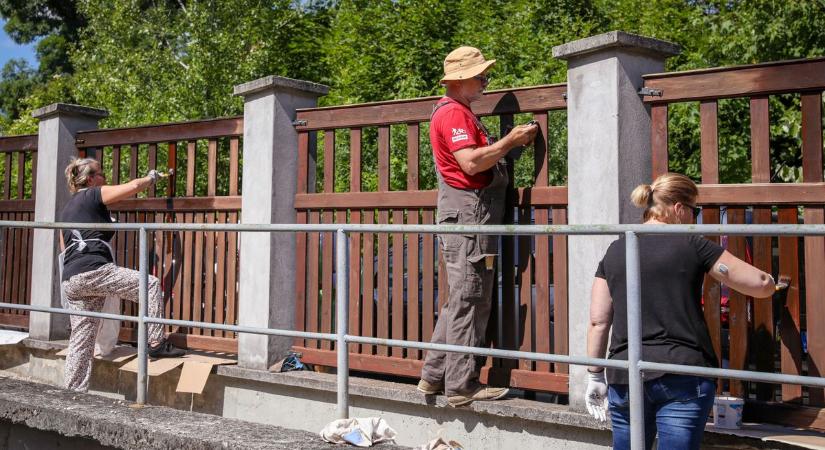 Nemes csapatépítő Miskolcon: ecsetet és szerszámot ragadtak az önkormányzati dolgozók - képekkel, videóval
