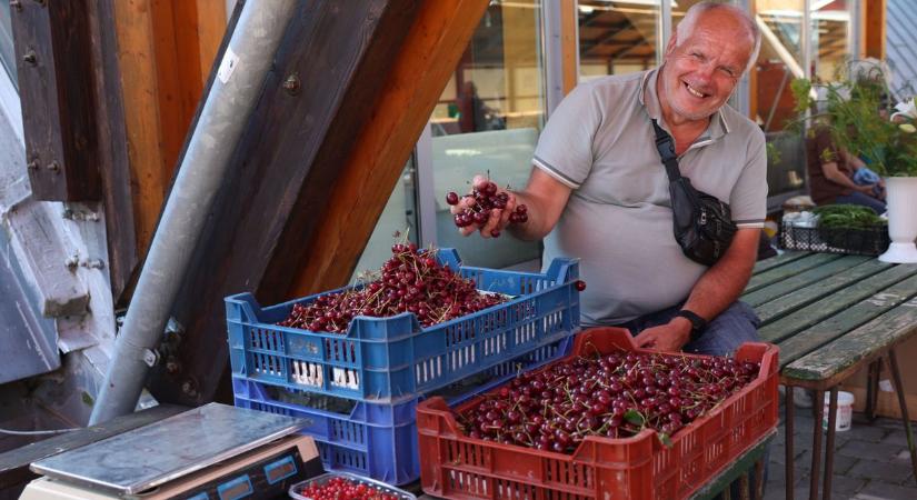 Megjelent a mézédes kajszi a piacon és máris olcsóbb mint egy kiló meggy vagy cseresznye