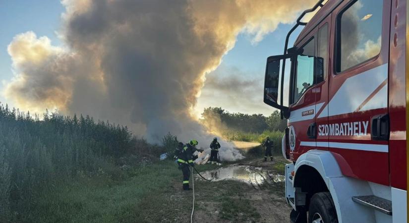 A 86-os út mentén csaptak fel a lángok Szombathely határában - fotók