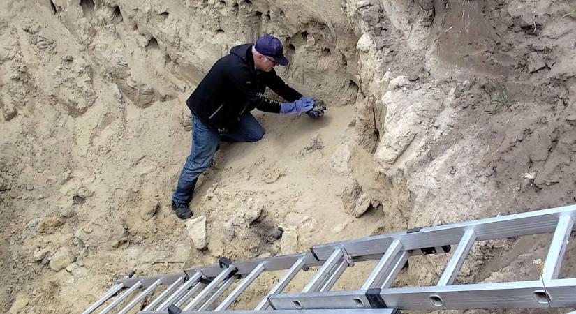 Kalandos sünmentés Kiskunfélegyházán: gyerekek vették észre a bajba jutott állatot
