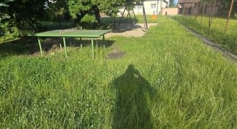 Van, aki vállalja a játszóterek fűnyírását, ingyen