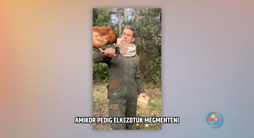 Exkluzív interjút adott Asaf Avidan: az izraeli világsztár egyre több állatot ment a farmján