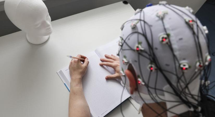 Meglepő eredményt hozott a tudatosság természetét vizsgáló kísérlet: az agy azt is tudja, amit a szem már nem lát