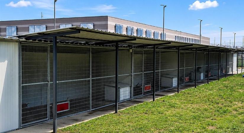 Plusz védelem a veszprémi börtönben: rájuk most még jobban kell vigyázni!