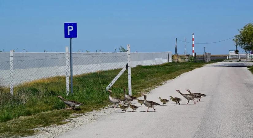 Megmutatjuk, hogyan önti el a beton az országot