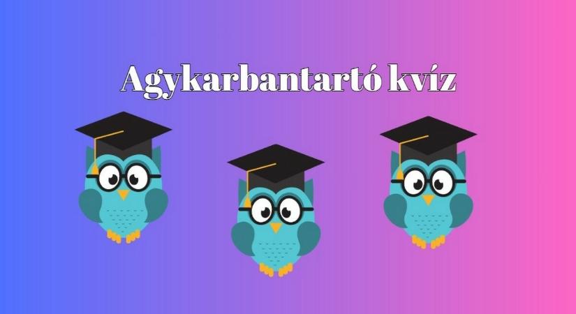 Agykarbantartó kvíz - Százból 10 ember tudja hibátlanul kitölteni ezt a kvízt. Te köztük vagy?