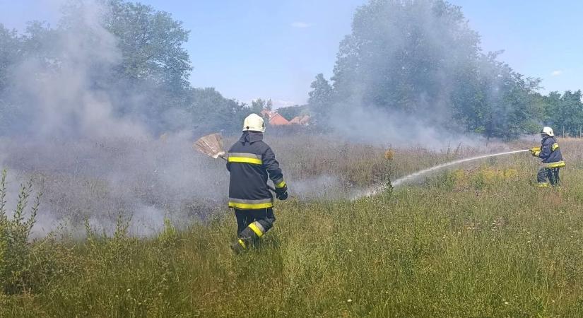 Nagy területen csaptak fel a lángok a szalki temetőnél, egy idős férfi kórházba került  fotók