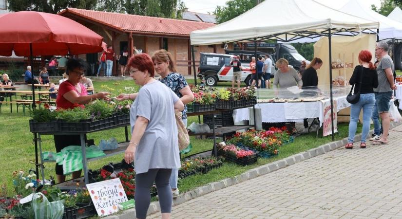 Lezárták az egyik népszerű hajdú-bihari piac egy részét