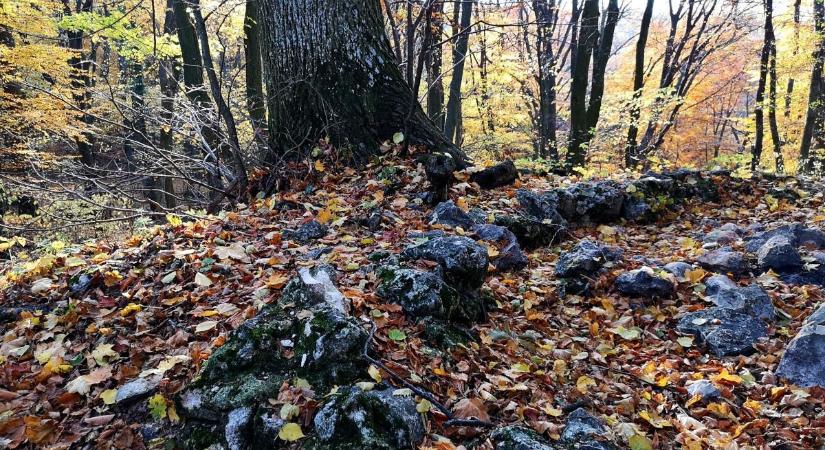 Árpád-kori vár romját takarja a Bakony, ezt a helyiek is kevesen ismerik ( fotók)
