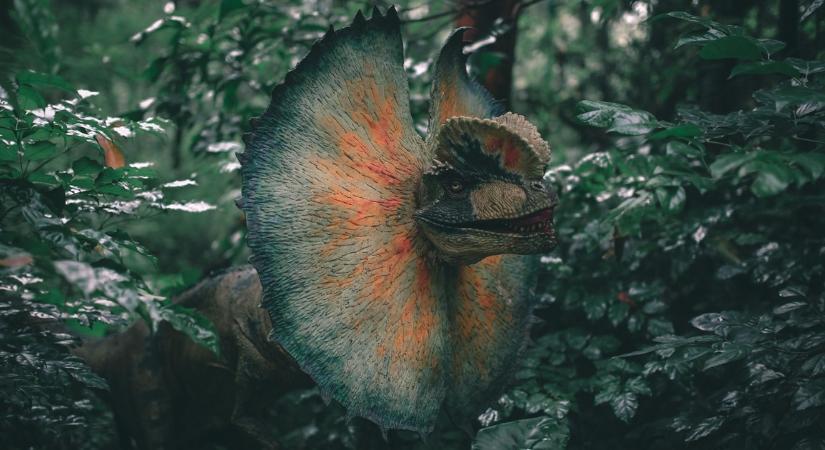 Szenzációs felfedezés: új dinoszauruszfajt találtak a Hátszegi-medencében magyar kutatók közreműködésével