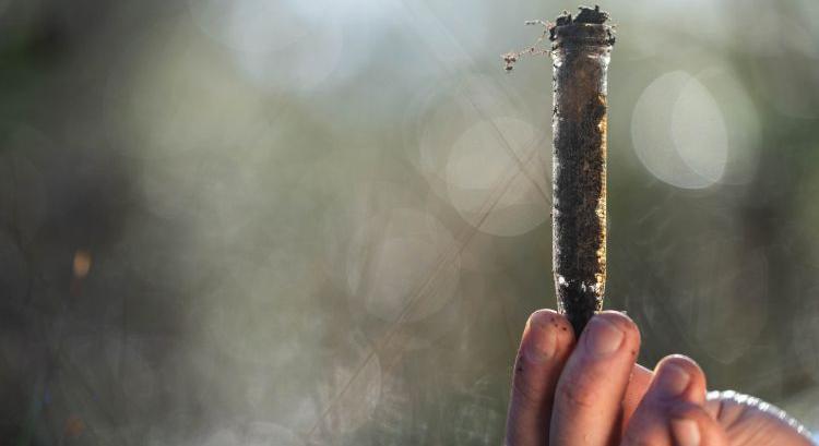 Biostimulátorokkal a jobb termésért