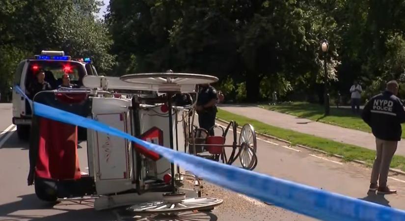 Meghalt egy 18 éves férfi, miután elszabadult egy lovaskocsi a new yorki Central Parkban