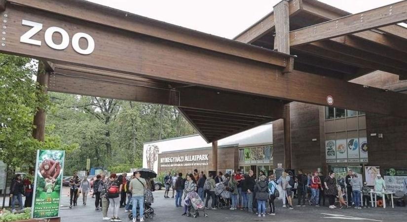 Olyan medvék érkeztek a Nyíregyházi Állatparkba, amilyeneket még nem látott a világ (fotók)