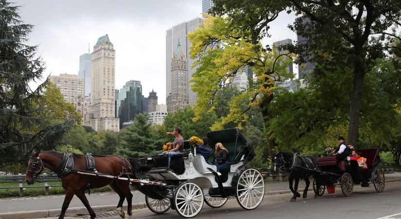 Megbokrosodott ló miatt halt meg egy turista
