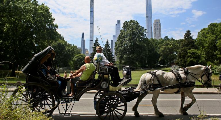 Leállítják a lovas sétakocsikázást a Central Parkban, miután balesetben meghalt egy 18 éves turista
