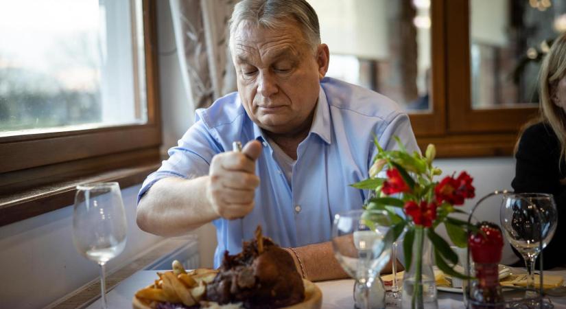 Elérhetetlenné vált Orbán Viktor igeforrása, a Vadhajtások