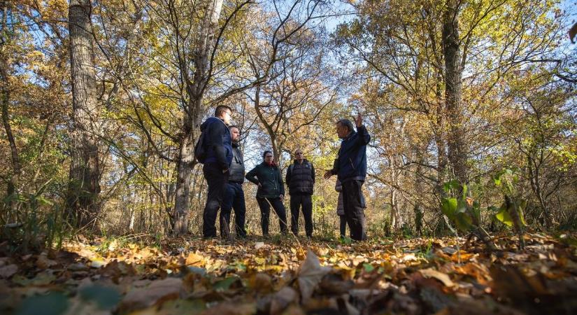 Önfenntartó minierdőket telepítenének Debrecenbe? Mutatjuk a részleteket, hamarosan jöhet a döntés