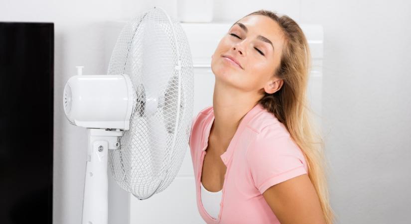 Görögök ezt az olcsó dolgot tették a ventilátor elé: A lakás pillanatok alatt lehűl a hőségben