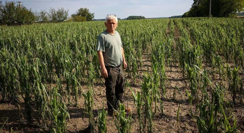 Kiderült, miért pusztított a szupercella, óriási károkat okozva (videó)