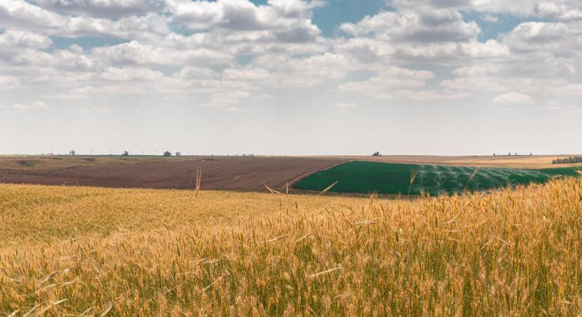 Tízéves haladékot kérnek a szigorú uniós szabályok alól az ukrán agráróriások