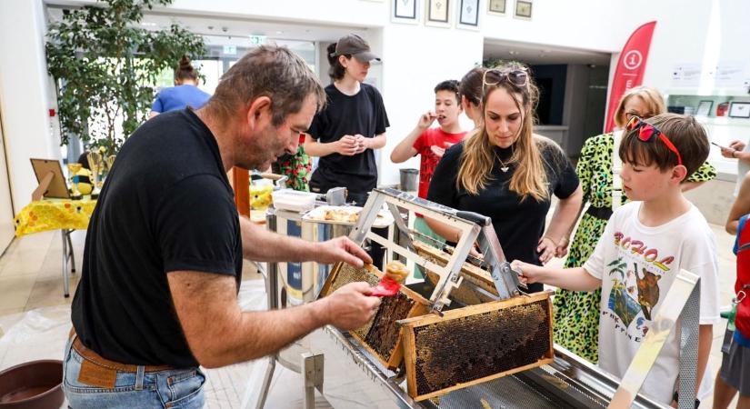 Idén is sokakat érdekelt a mézpergetés az Agórában, kicsik és nagyok egyaránt segítettek – galériával, videóval