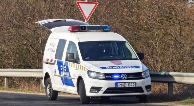 Vadat gázolt egy autó a 84-es főúton: tűzoltók, mentők, rendőrök a helyszínen