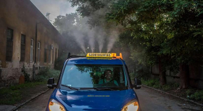 Volt gyérítés, a szúnyogok, köszönik, jól vannak. Az idegméreg a katicákat, pókokat ölte. Többek közt.