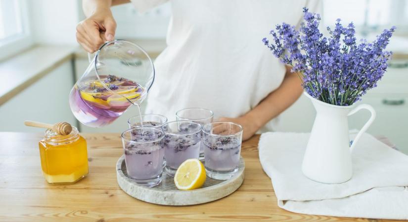 Bodzából vagy málnából készít szörpöt? A Nébih figyelmeztet, mire ügyeljen