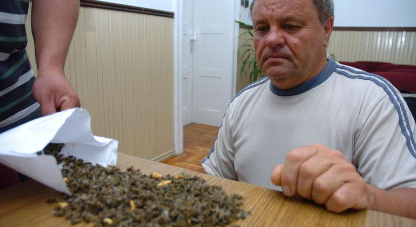 Húsz éve annak, hogy Tolnában több mint 120 millió méh pusztult el egy permetezés után