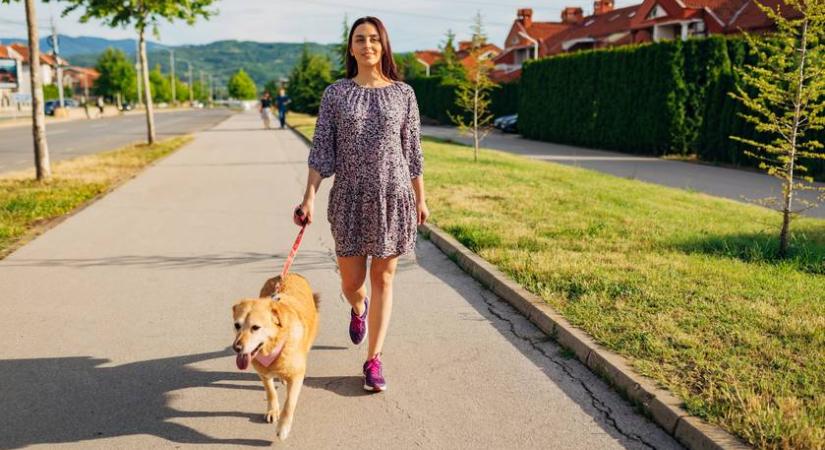 Ne csak kakizacskó legyen nálad, ha kutyát sétáltatsz: rengeteget számít ez az egy apróság