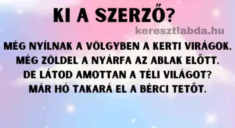 Irodalom feladat: ezek a sorok kötelezők voltak, de a szerzőre emlékszel még?