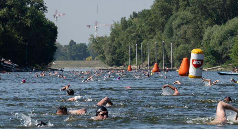 Kétezren úsztak a kánikulában a MOL Campus Öbölúszáson