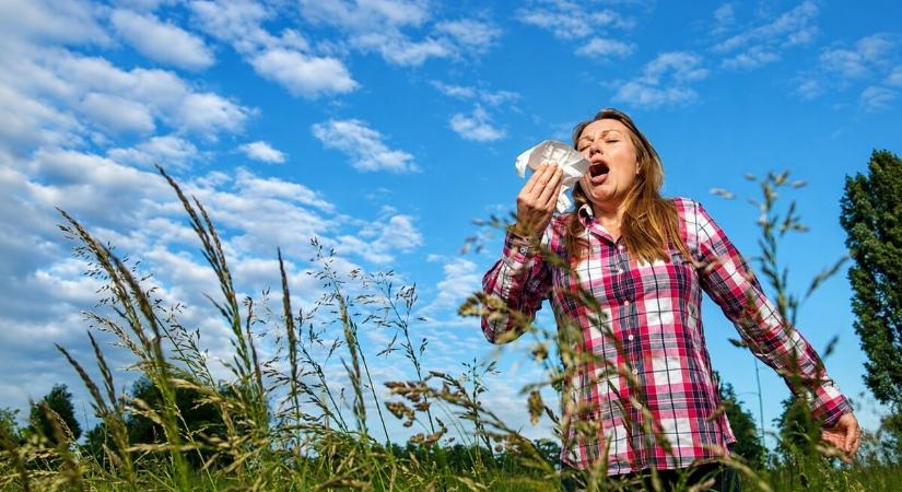 Erősödik a pollenszezon: a viharok is fokozhatják az allergiás tüneteket