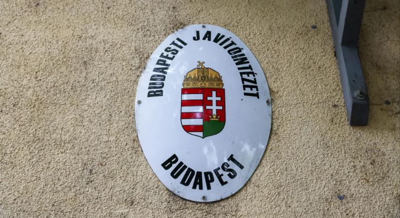 Már 11 gyanúsított van a szőlő utcai ügyben