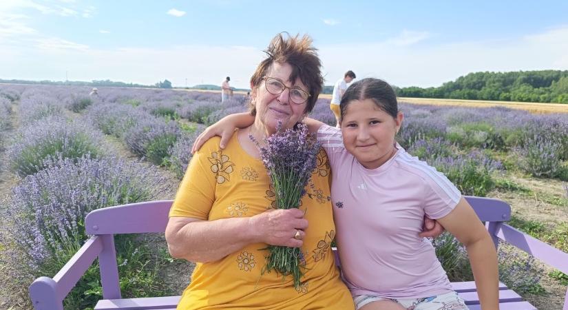 Levendulás családi nap Máriakálnokon, hangulatos naplemente piknikkel - fotók, videók