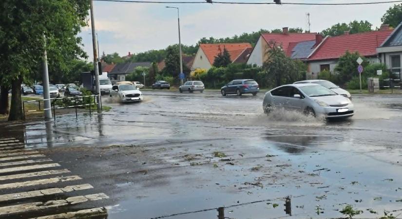 Lecsapott a vihar Debrecenre: fa dőlt egy buszmegállóra, ágak szakadtak le – fotók, videó
